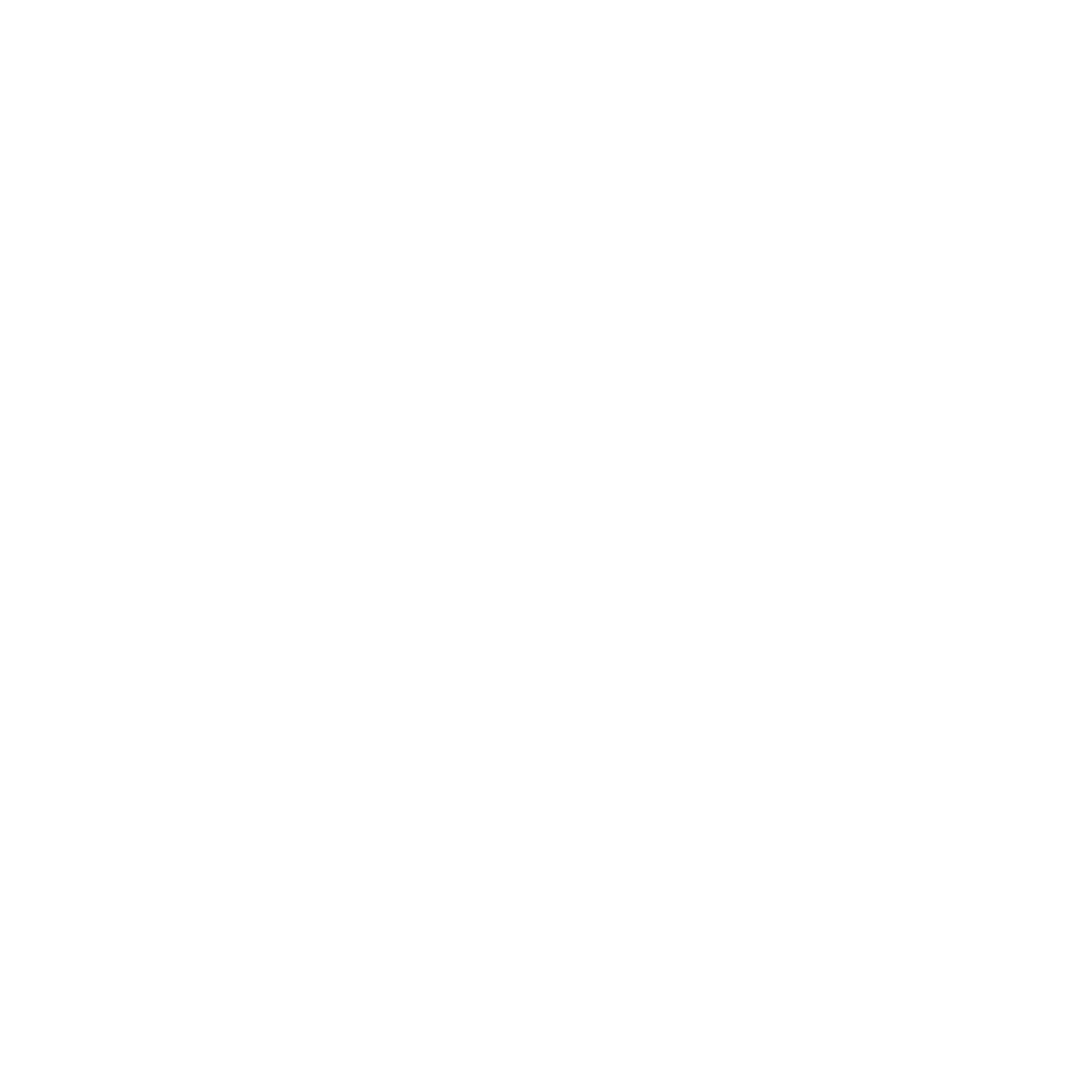 PROPERTY & PREMIUM VERIFICATION